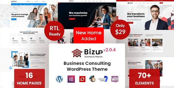 Bizup.webp